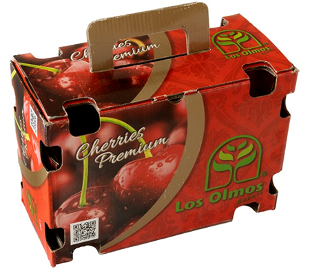 Exportación 6